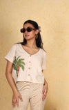 Banana Tree Top